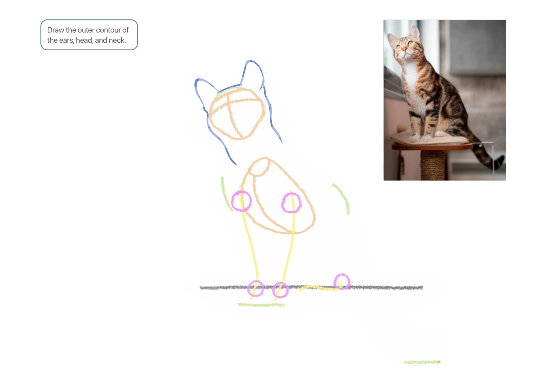 How to Draw a Cat in Step Mode: 25-Step Detailed Guide | ArtWorkout