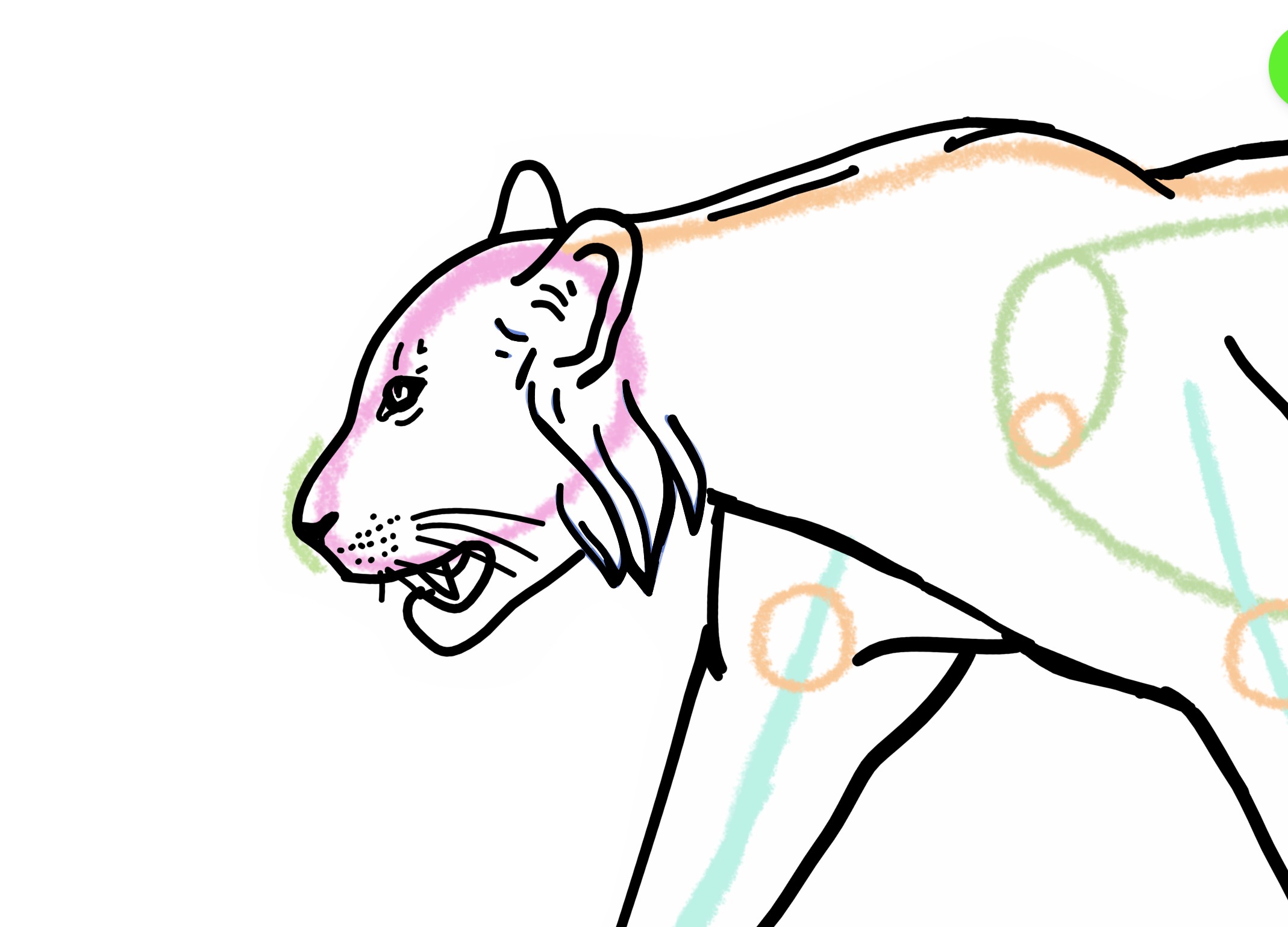 Blue Tiger Drawing Tutorial How to Draw a Tiger in Step Mode: 30-Step Detailed Guide | ArtWorkout
